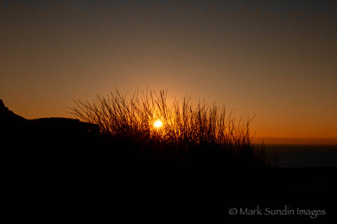 Sunrise through the Dune Grass