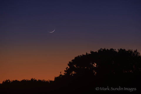 Solstice New Moon Over Jibbon #2