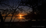 Quibray Bay Sunset #1