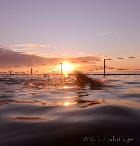 Sunrise Swimmer, Cronulla Rockpool